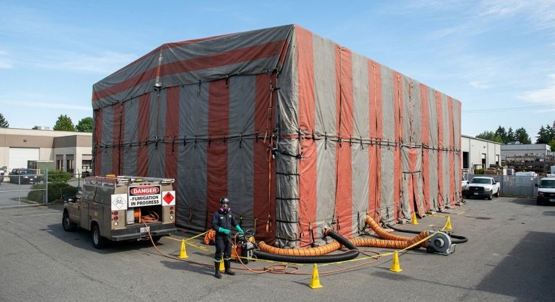 Commercial Fumigation in Madison, WI