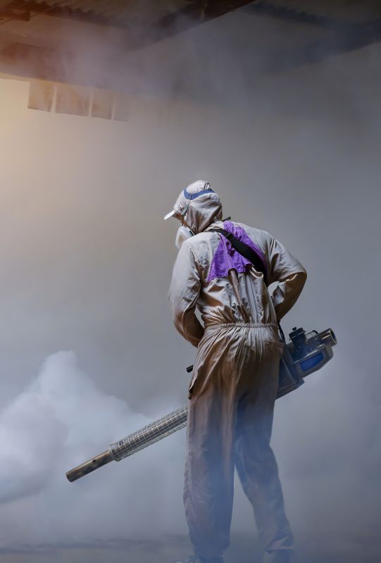 Rat Fumigation Service in Madison, WI