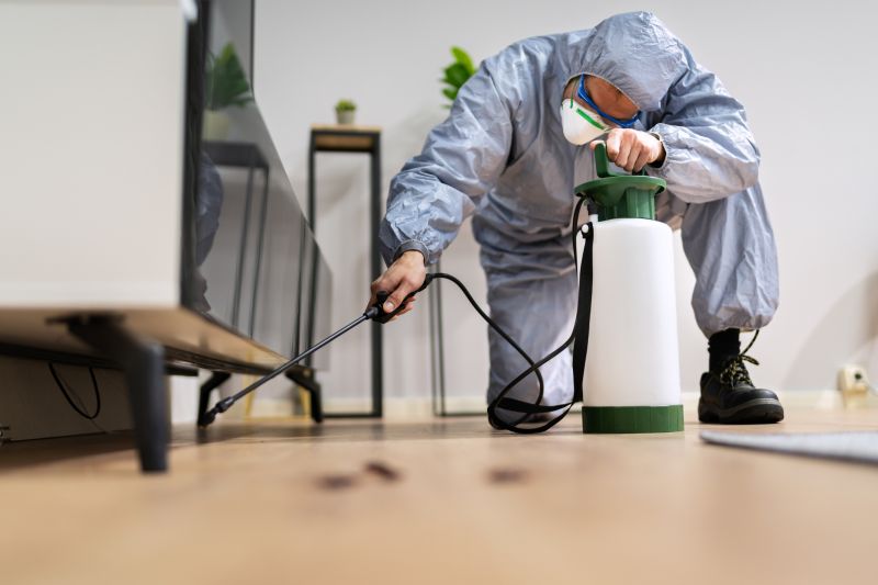 Rat Fumigation Service in Asheville, NC