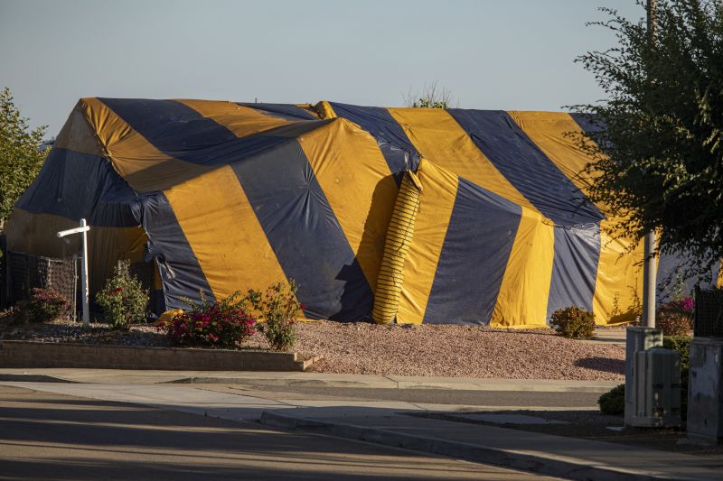 Termite Tenting in Kalamazoo, MI