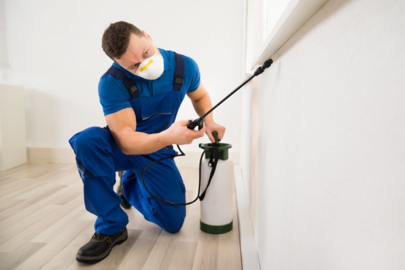 Why Professional Stinging Insect Pest Control Is Safer Than Diy Removal